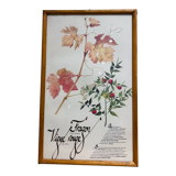 Frame pharmacy herbarium dragon and red vine
