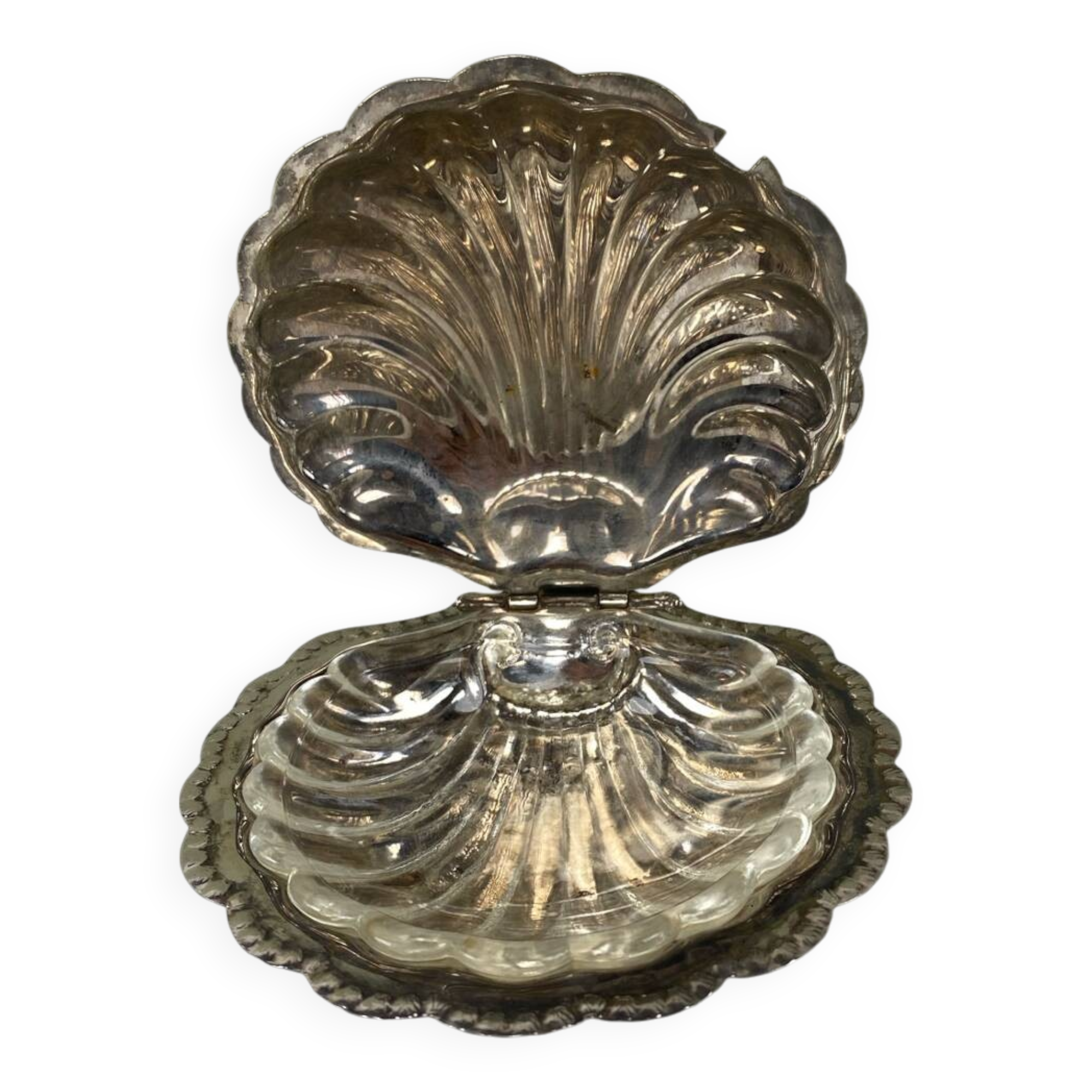 Scallop butter dish
