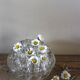 Large round glass flower frog vase with 19 holes.