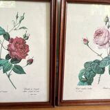 Framed pink botanical posters