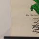 Vintage educational wall hanging roll chart biology plants botanical