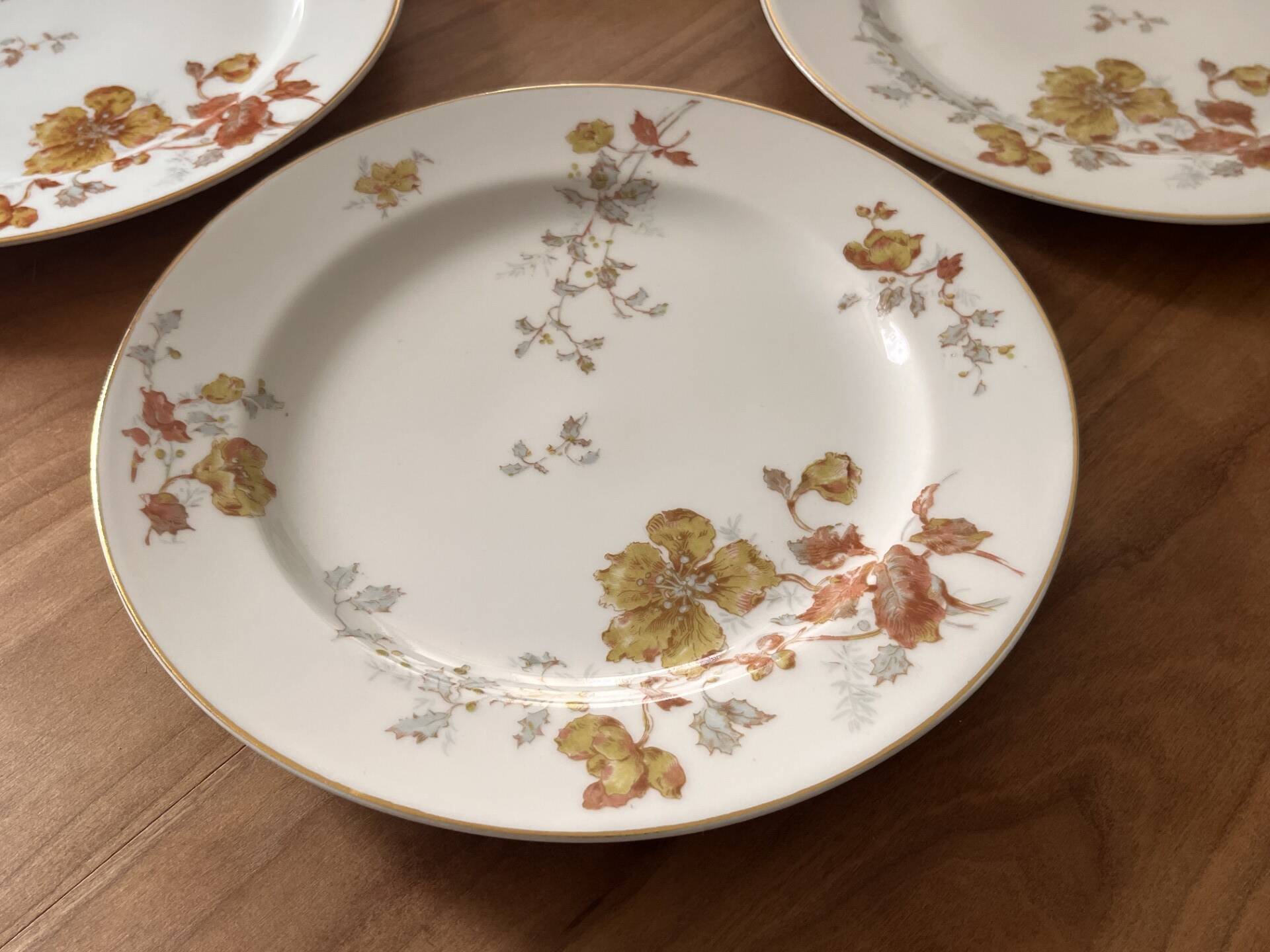 Set of 6 antique plates