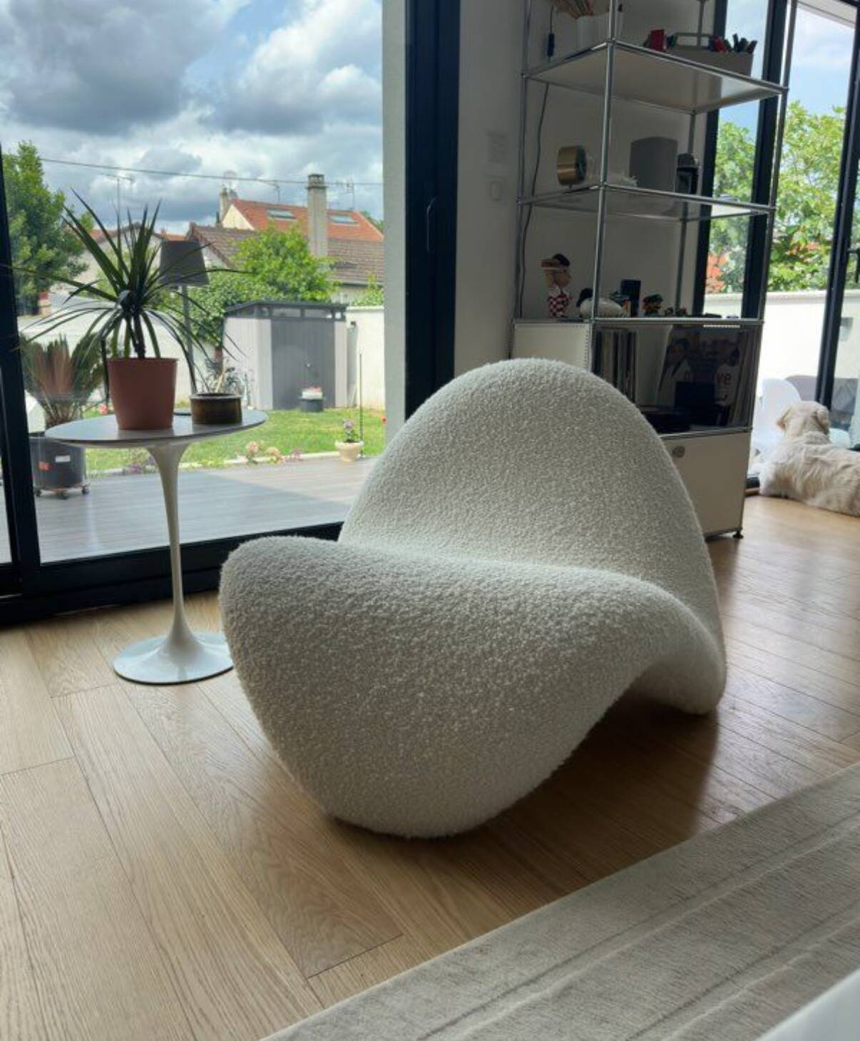 Tongue F577 armchair - Pierre Paulin for Artifort