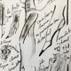 Dessin de Karl Lagerfeld pour Chanel