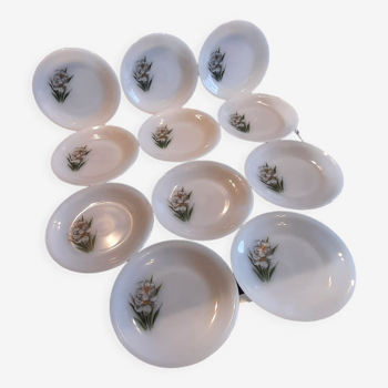 Vintage Arcopal dessert plates