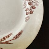 Flat plates iron earth