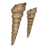 Pair of vintage shell wall sconces, beige fiberglass, France 1960