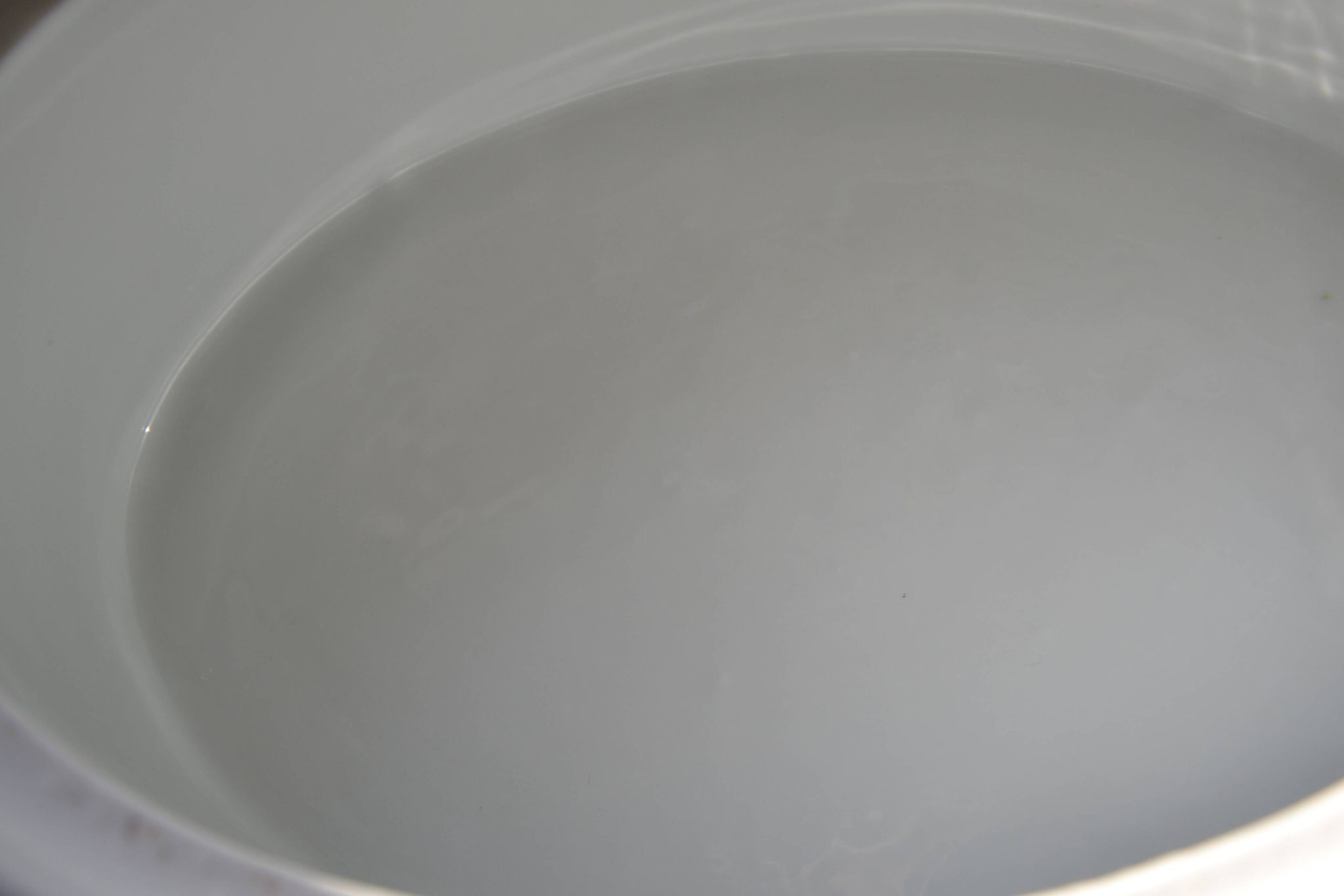 Paris Sologne porcelain terrine dish, Ferrand creation
