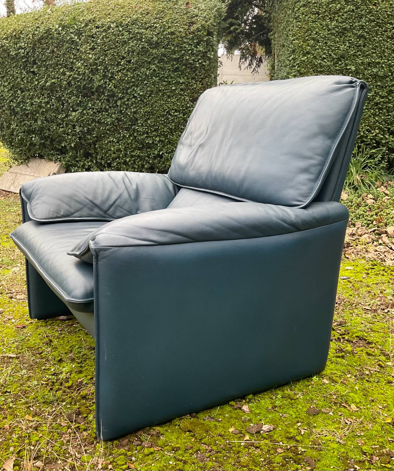 Fauteuil Bora Bora pour Leolux par Axel Enthoven