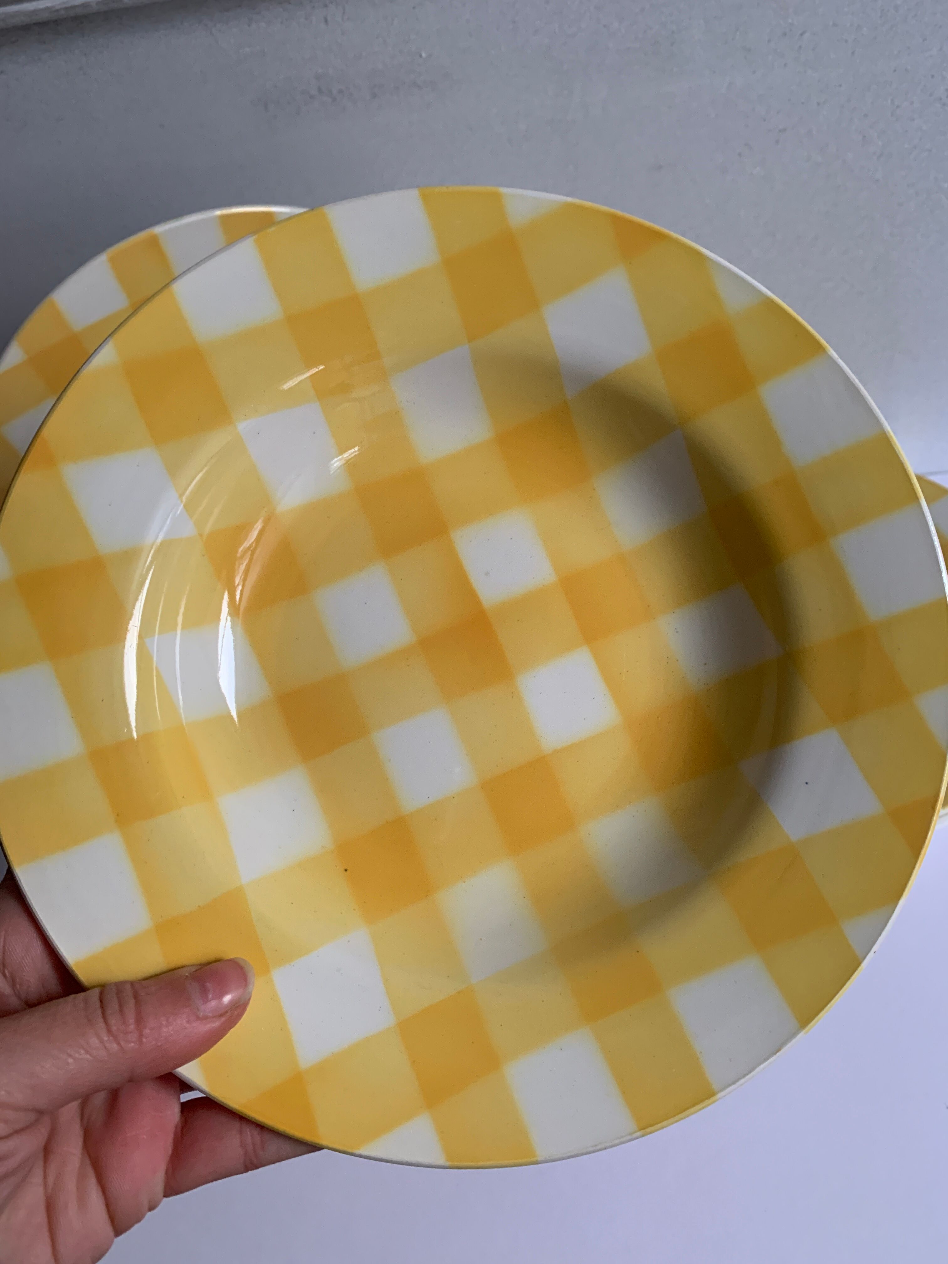 5 Digoin Sarreguemines plates