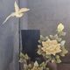 Vintage Chinese cabinet with gold leaf, flowers and birds (bar cabinet)