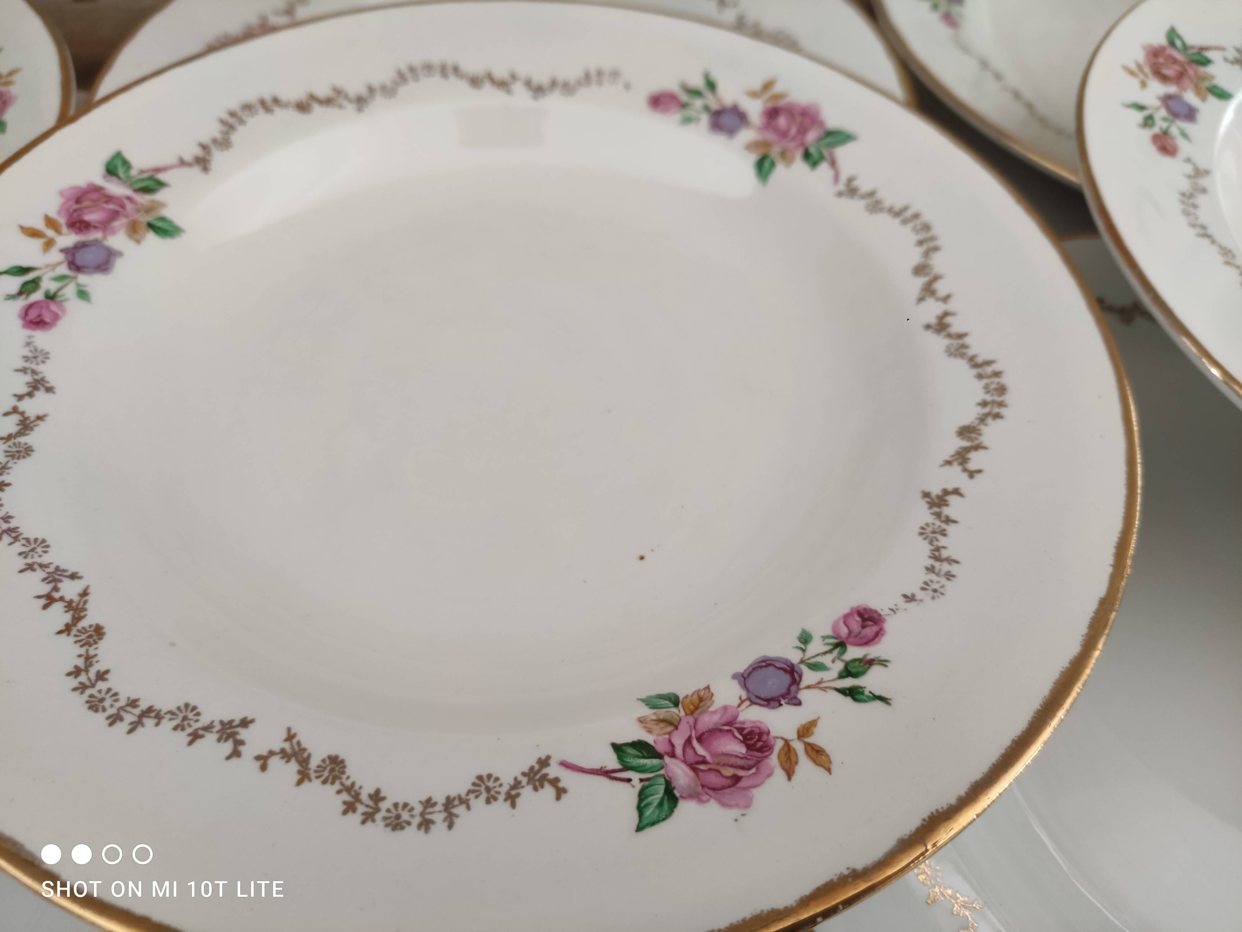 Lot de 12 assiettes creuses l'amandinoise frise dorure et roses anciennes. en demi-porcelaine poreyl