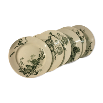 6 flat plates iron earth new Paris depot