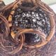 Suspension boule osier