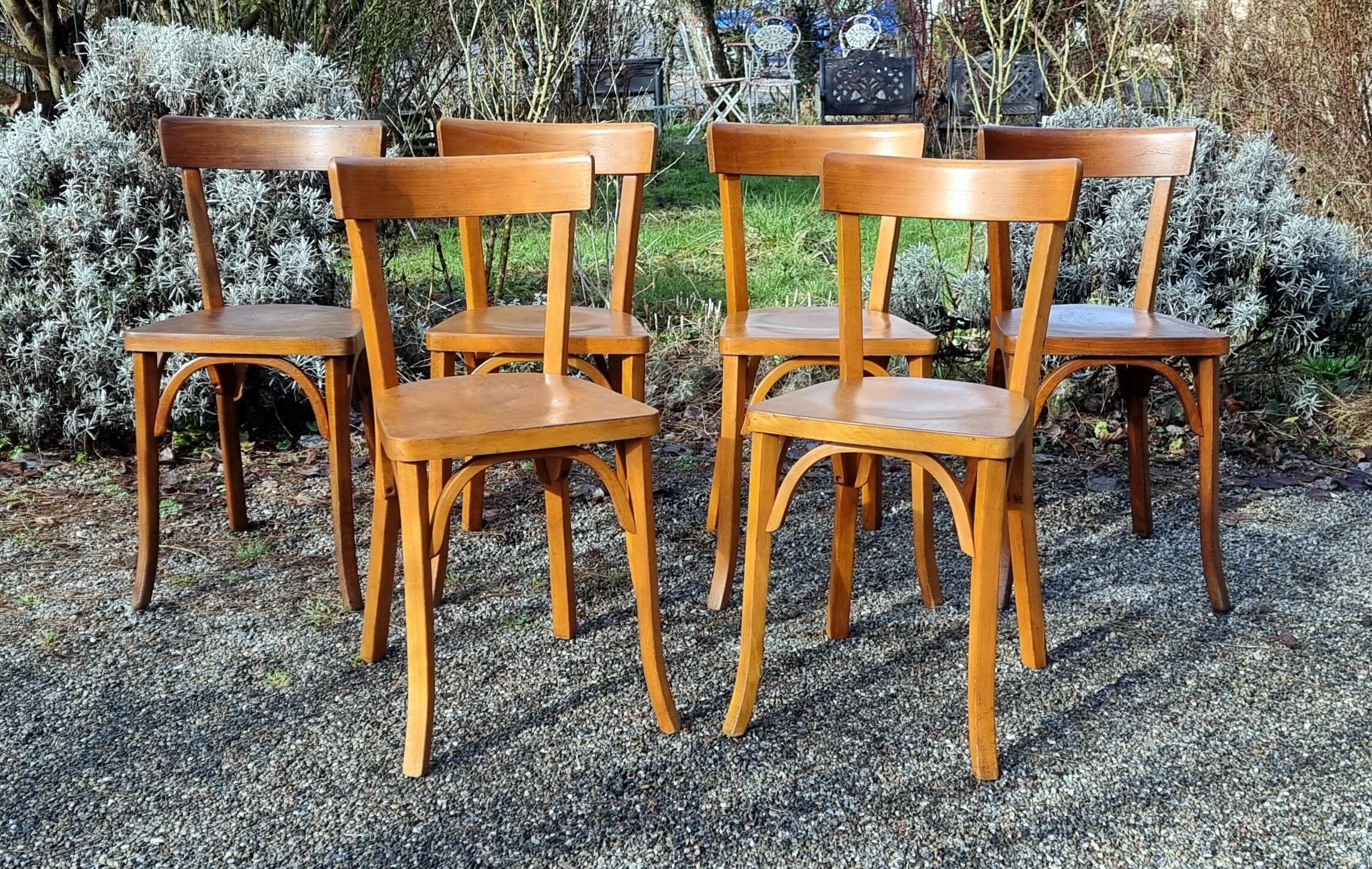 6 Baumann n°55 chairs from the 1950s