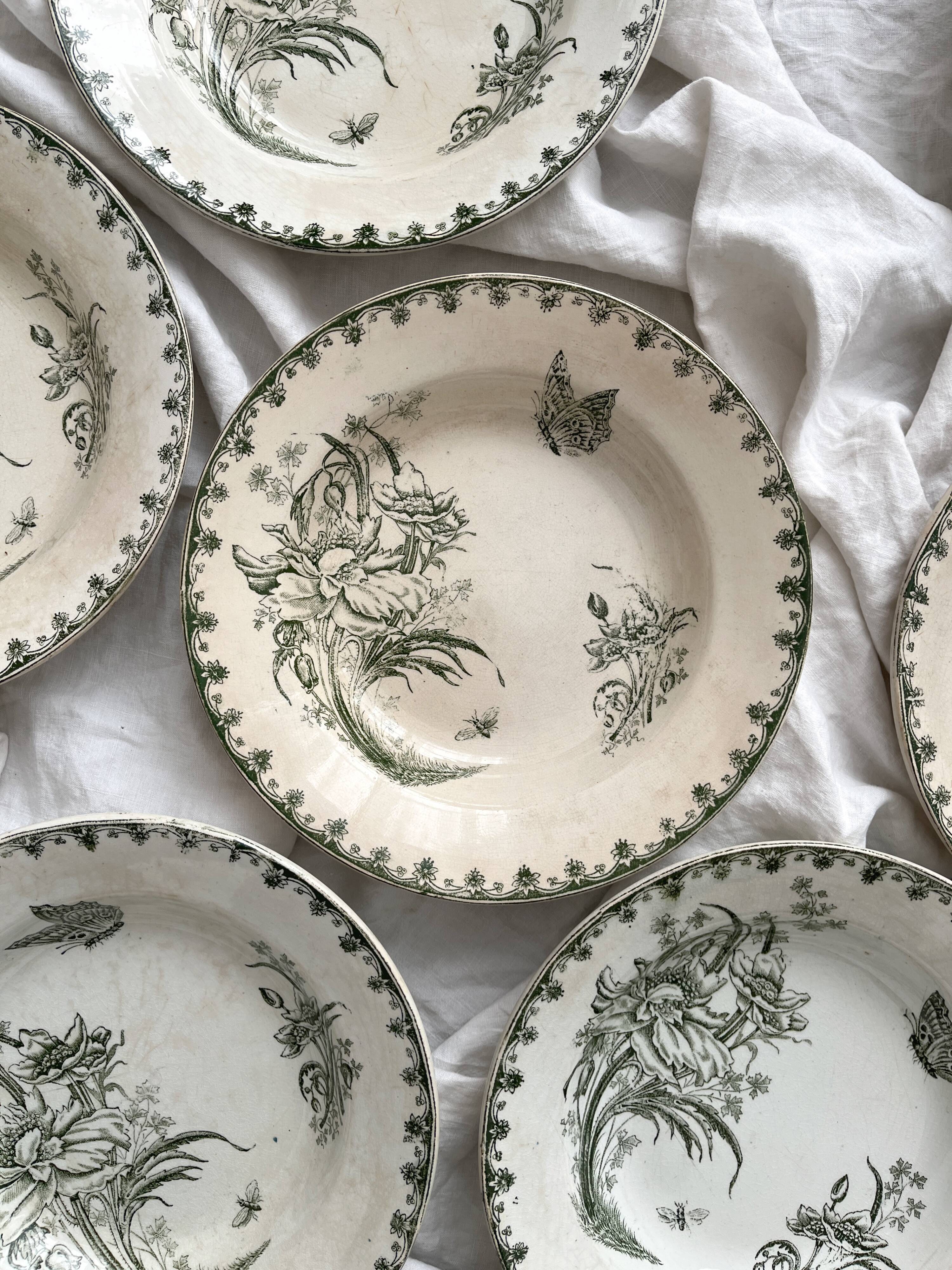 7 earthenware soup plates with butterfly and flower design "Nancy" LG Clairefontaine