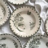 7 earthenware soup plates with butterfly and flower design "Nancy" LG Clairefontaine