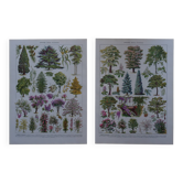 Original lithographs on gardens and ornamental trees