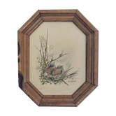 Illustration oiseaux vintage sur panneau