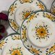 Set of 5 flat plates "Charolle" manufacture of Digoin and Sarreguemines