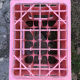 Evian bottle holder in pink plastic