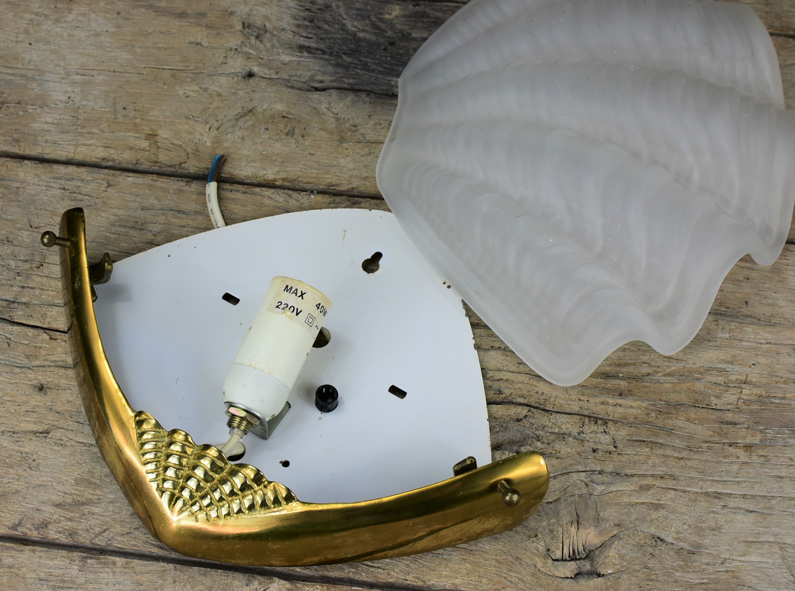 Shell wall lamp, glass and brass.