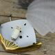 Shell wall lamp, glass and brass.