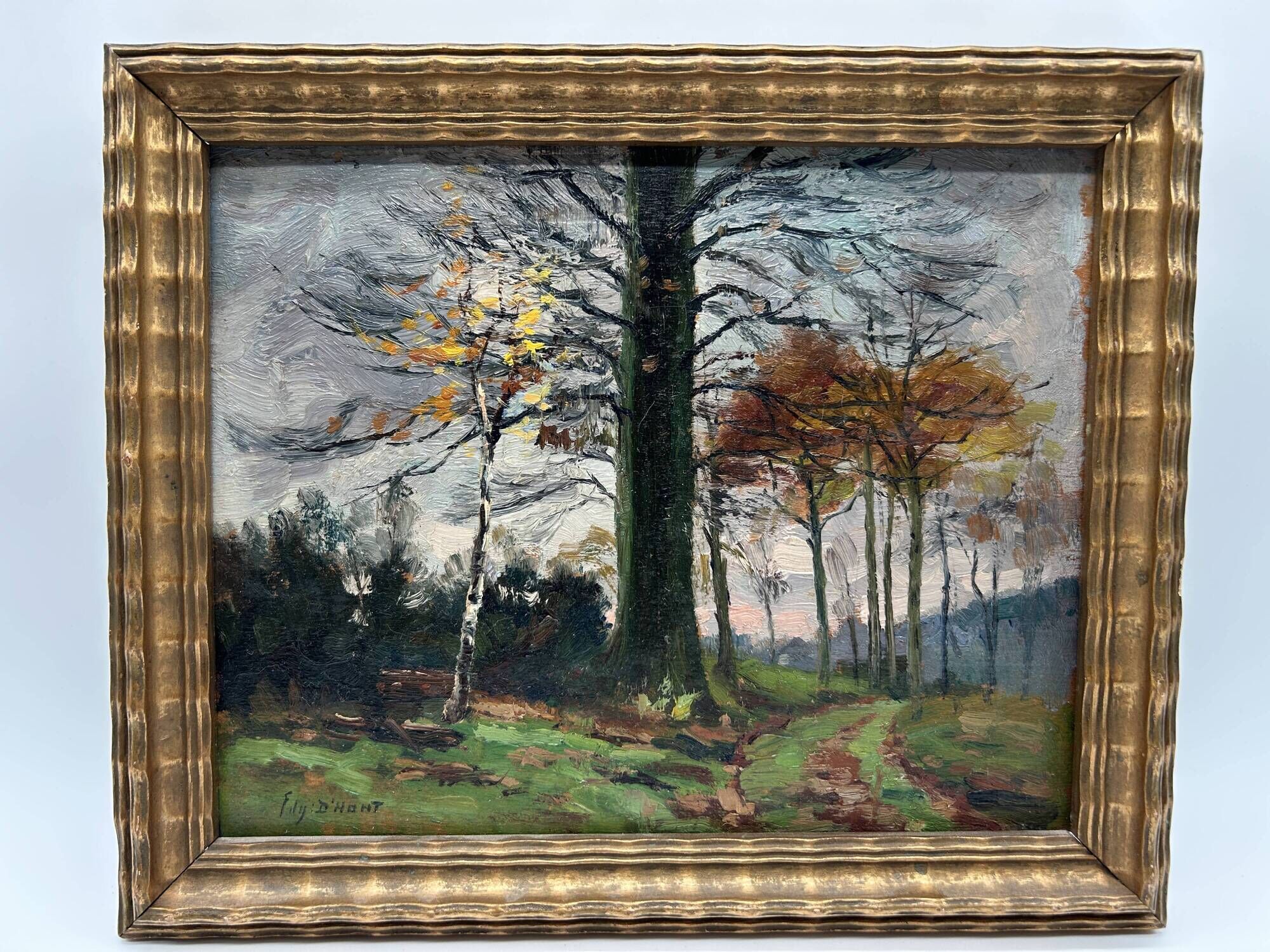 HSP by Edgard d'Hont (1861 - 1941) - the clearing