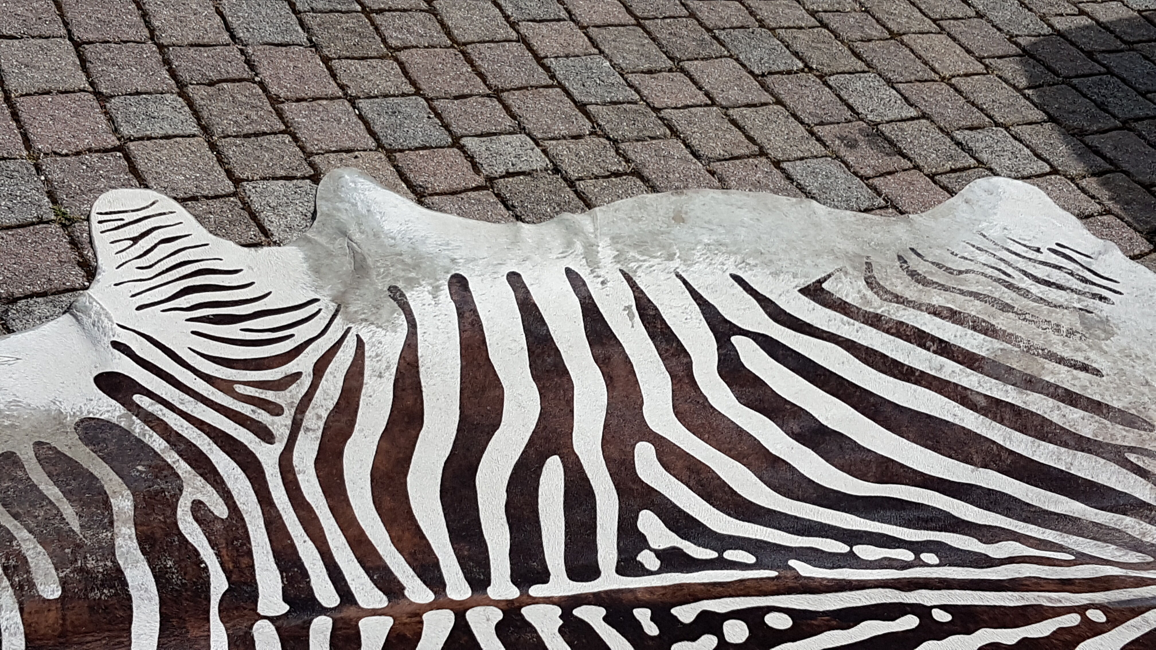 Zebree cowhide 225x190cm