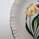Lot 6 flat plates Digoin Sarreguemines