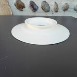 Dish on saline iron earth pedestal