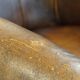 Charming, classy, and comfortable sheepskin leather club armchair