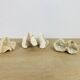3 old white corals, coral