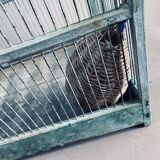 Water green patinated metal cage