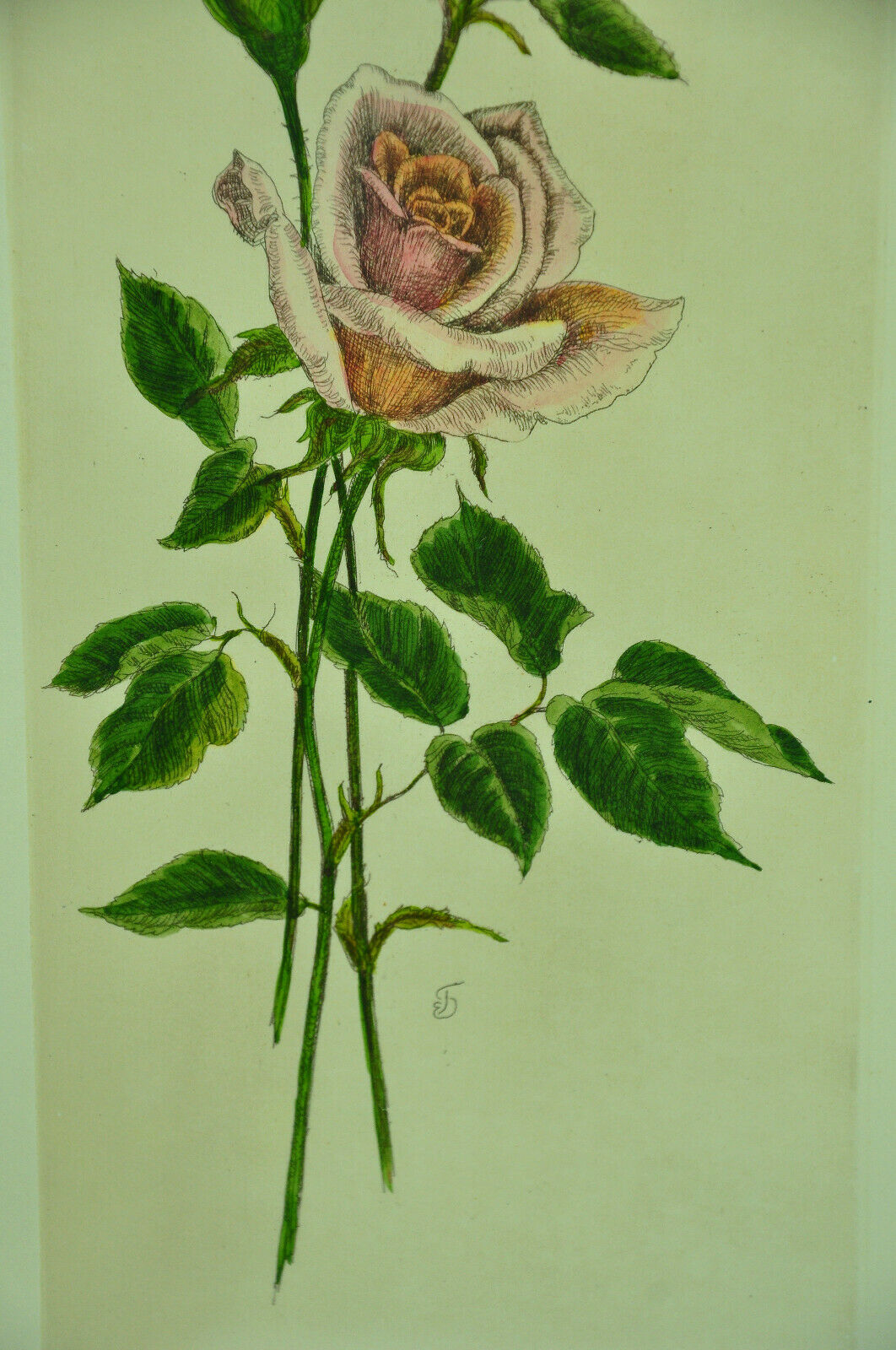 Pair of ancient lithographs of signed floral engravings to be identified