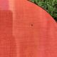 4 red Formica chairs with Eiffel legs, 1950s