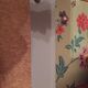 Commode 5 tiroirs