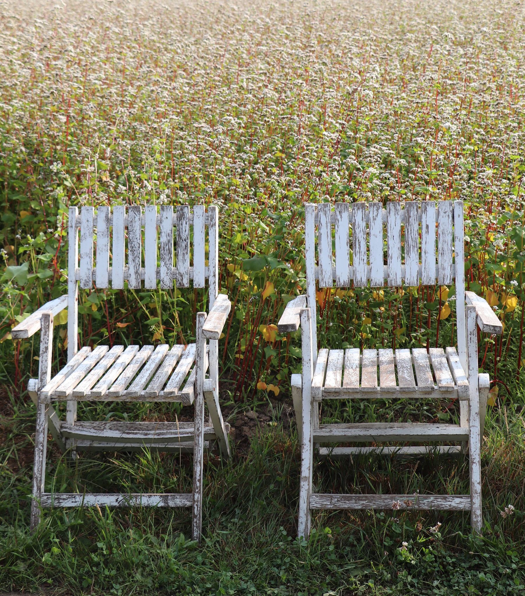 Set of 4 folding garden chairs in slatted wood – 1940 design