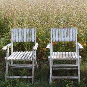 Set of 4 folding garden chairs in slatted wood – 1940 design