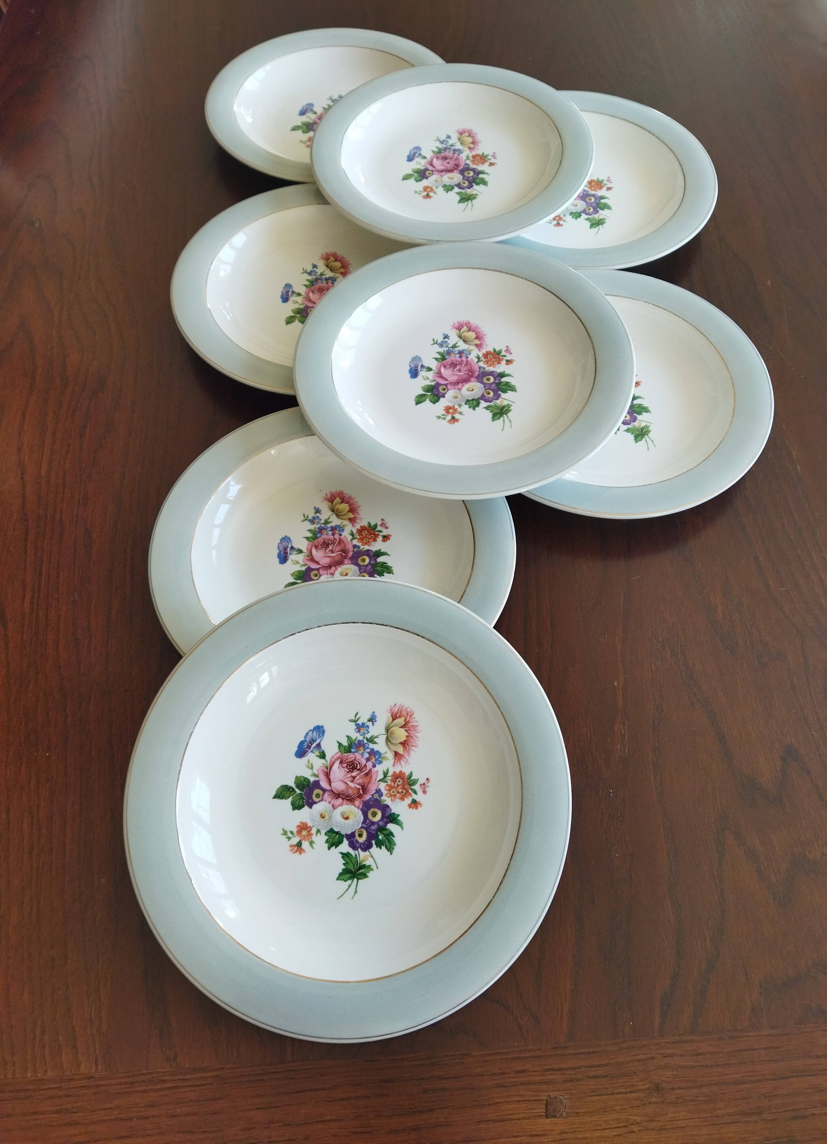 8 semi-deep plates Salins Opaceline 702