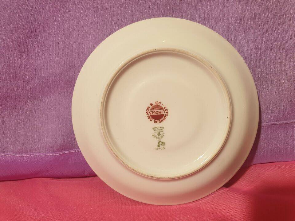 Coffee service 13 pieces Limoges Unique Letourneur Salmon pretty model