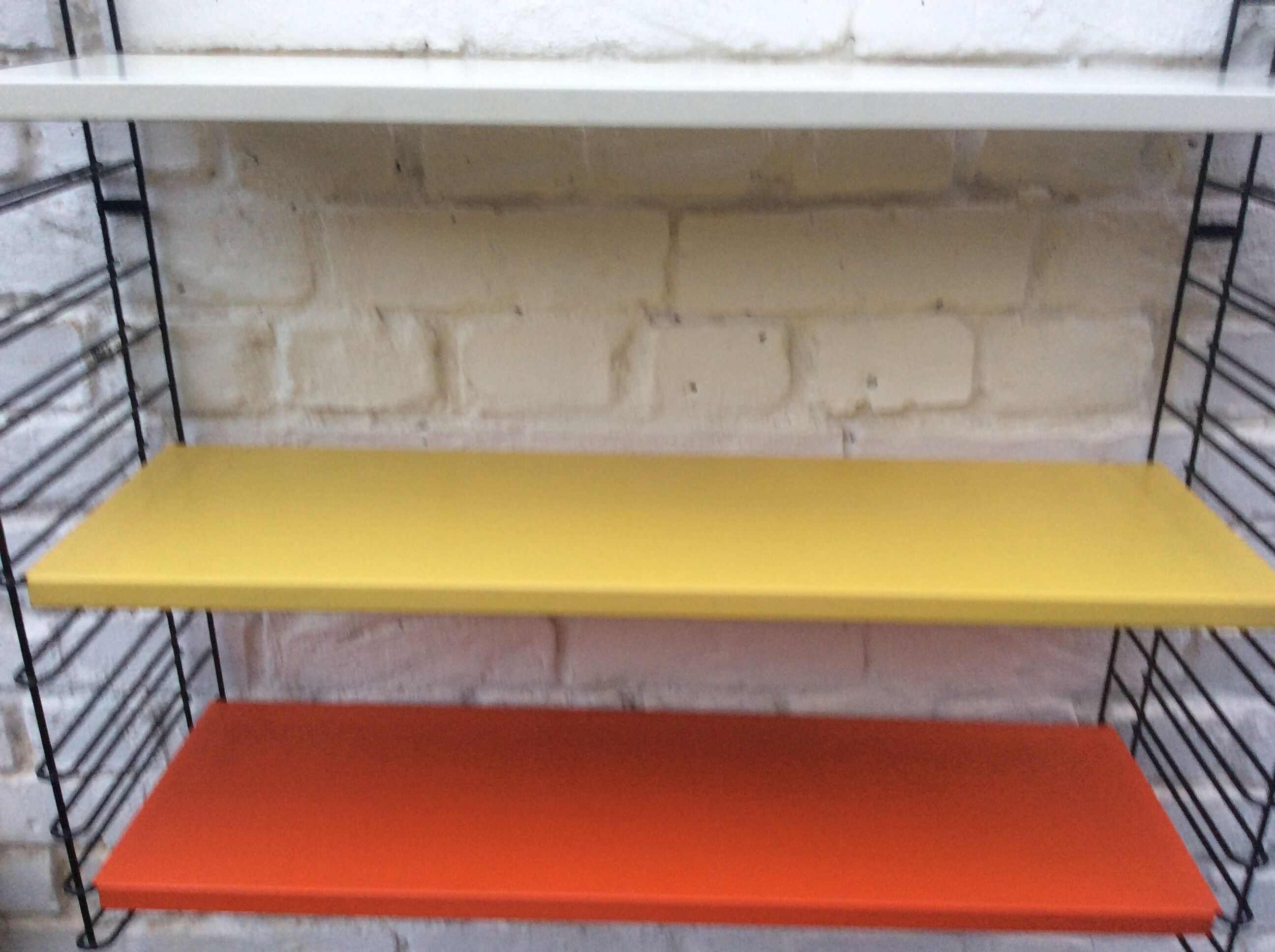 Tomado shelf of the 50s