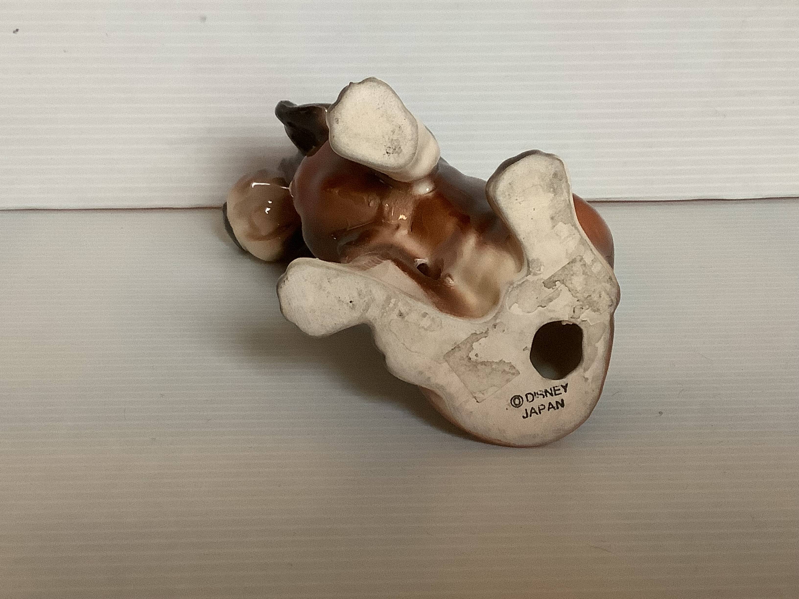 Saint Hubert hunting dog