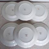 6 flat flowered plates