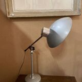 Lampe indus L. F. Solere