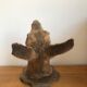 Taxidermy deer head