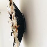 Speckled white jujuhat 75 cm