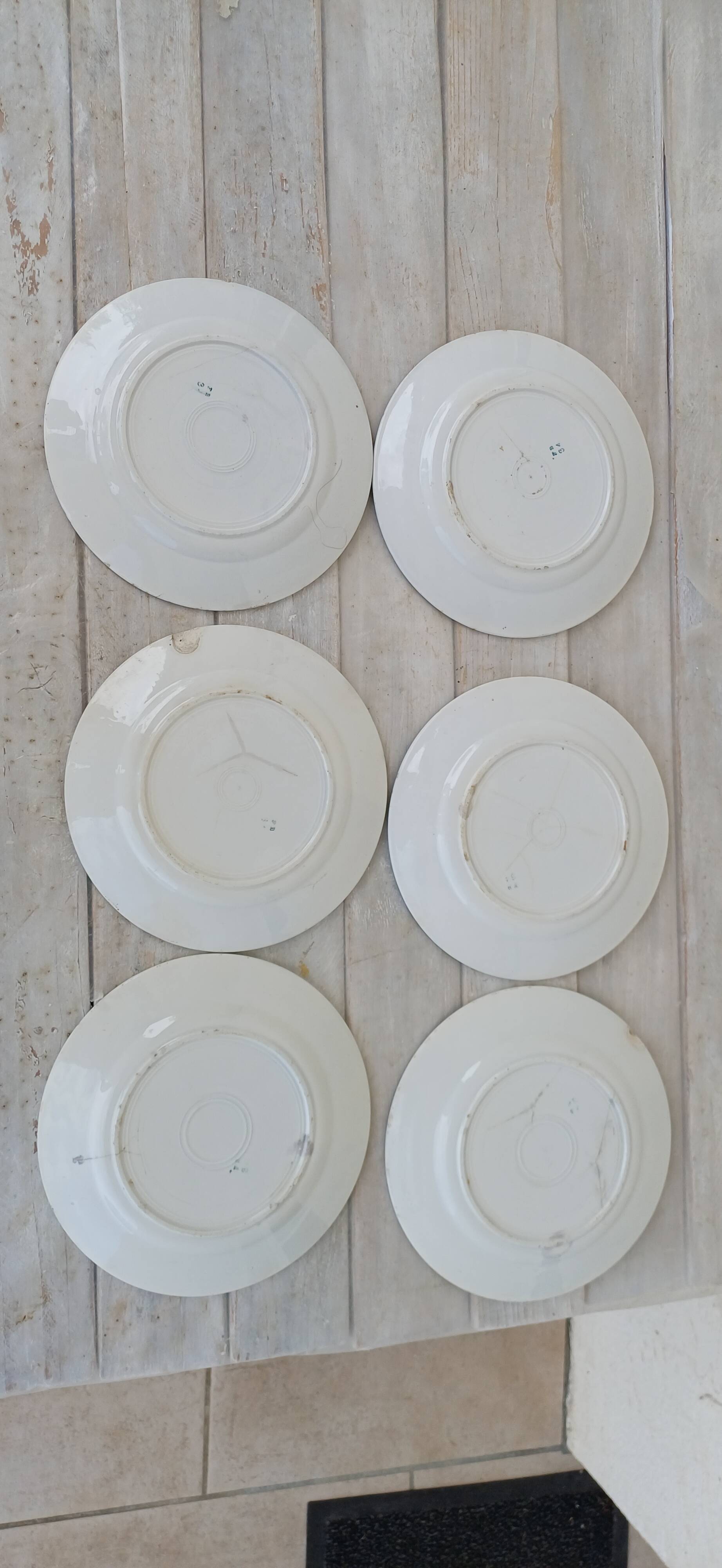 Assiettes plates creuses et à dessert