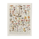 Old illustration Millot "Mushrooms"