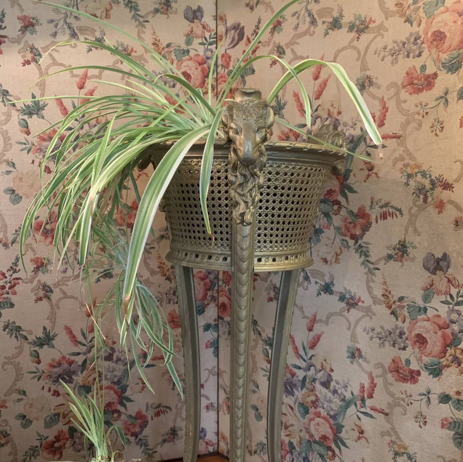 19th century planter